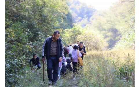 踏秋尋寶，聞香識藥！首屆神農(nóng)杯野外識藥大賽在株洲鳳凰山景區(qū)成功舉辦！