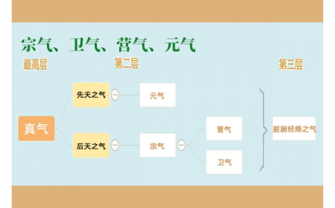 中醫(yī)里的“宗氣”、“衛(wèi)氣”、“營氣”、“元氣”